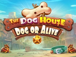 The Dog House Dog or Alive
